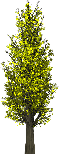 Environmental Compliance Documents