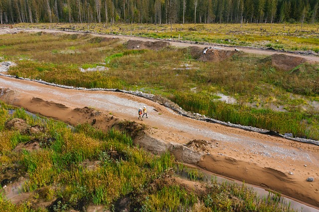 Environmental Impact Assessments