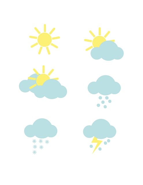 Financial Forecasts and Projections