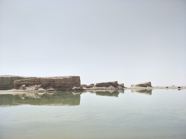 Financial Forecasts and Projections