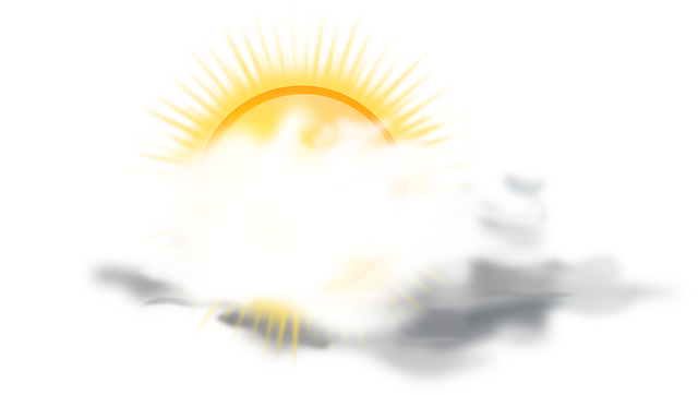 Financial Forecasts and Projections