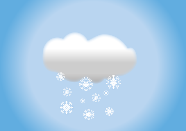 Financial Forecasts and Projections