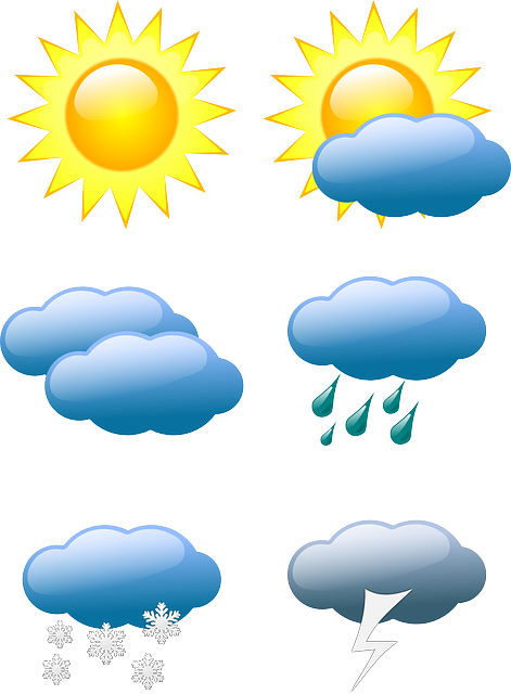 Financial Forecasts and Projections