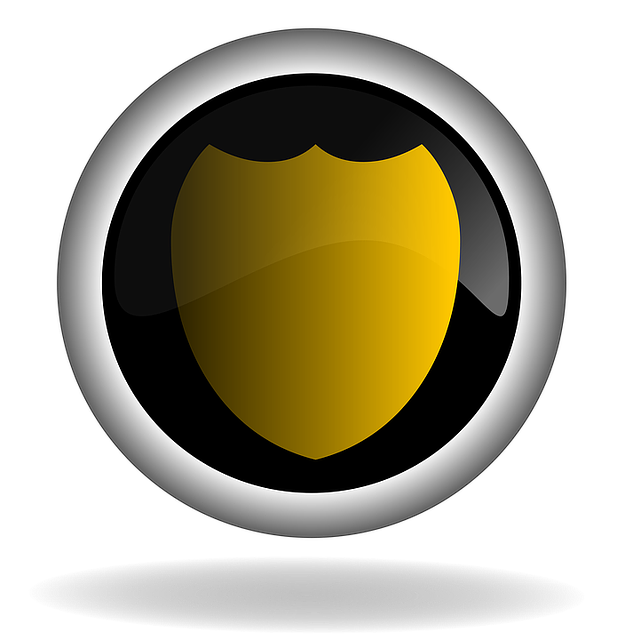 Insurance Documents