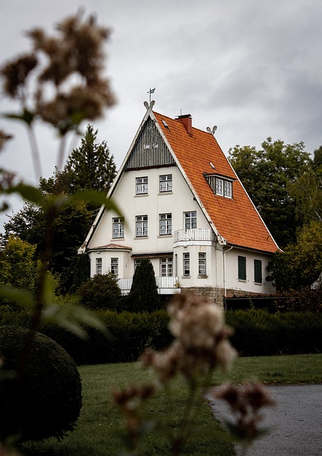 Intellectual Property