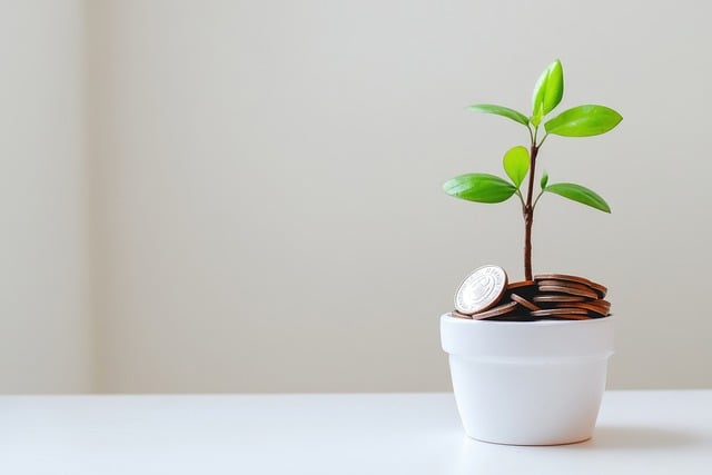 Internal Financial Policies and Procedures