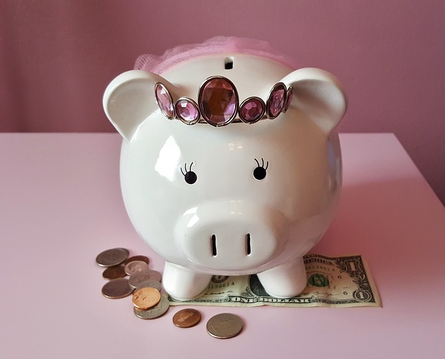 Internal Financial Policies and Procedures