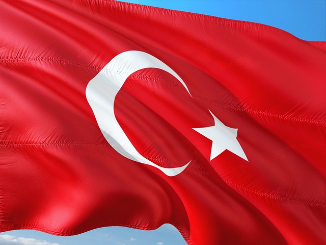 International Treaties