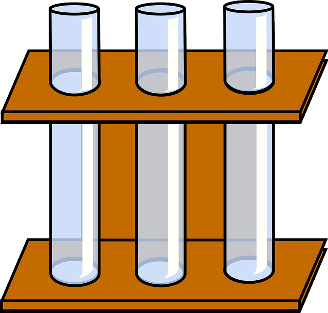 Laboratory Notebooks