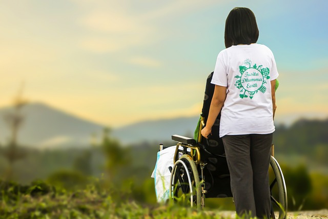 Optimizing Patient Discharge Summaries with Translation Services in the UK Healthcare System