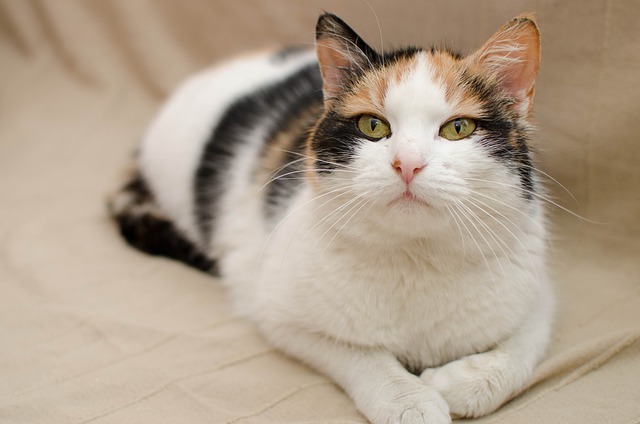 Pension Fund Documentation