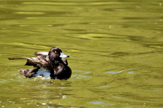 Pension Fund Documentation