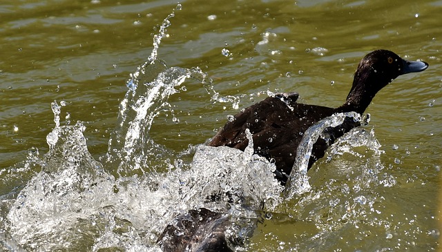 Pension Fund Documentation