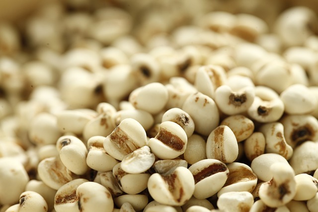 Pharmaceutical Manufacturing Guidelines