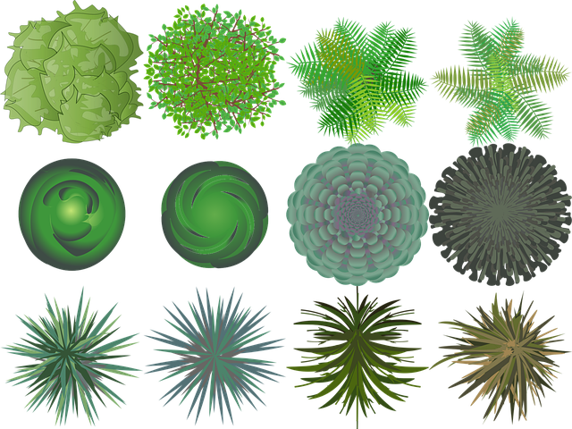 Physician’s Treatment Plans