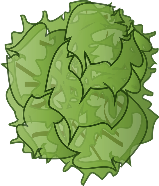 Physician’s Treatment Plans