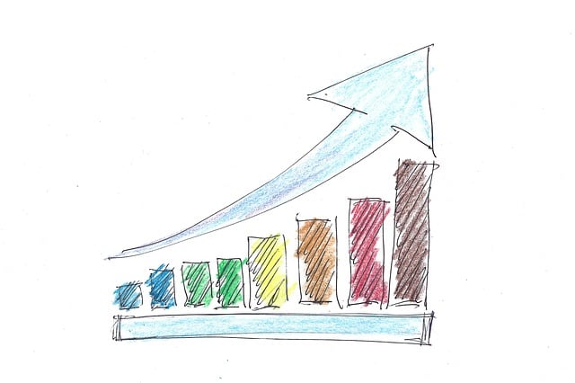 Profit and Loss Statements