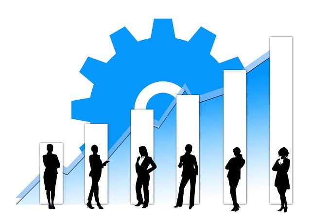 Profit and Loss Statements