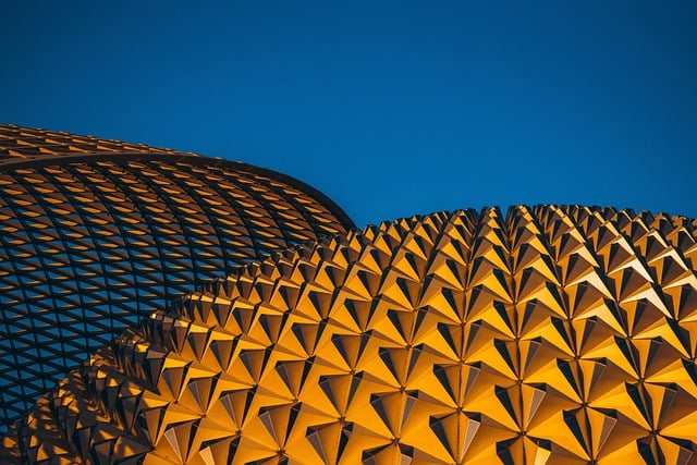 Scientific Conference Abstracts