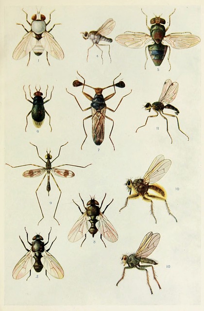 Scientific Methodology Manuals