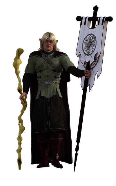 Technical Guidelines and Standards