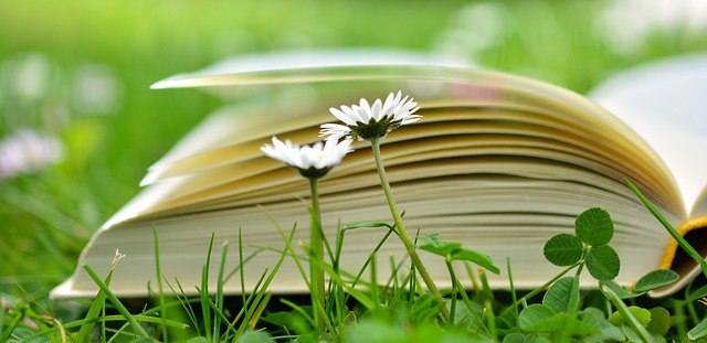 Training Manuals and E-learning Materials