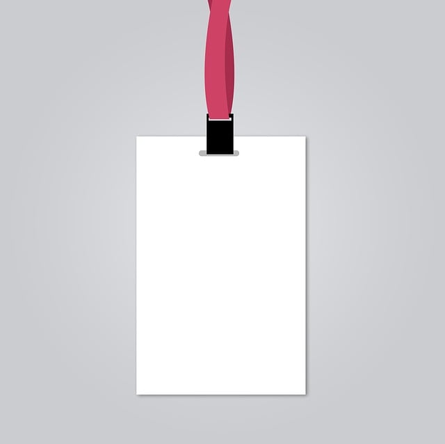 visa
