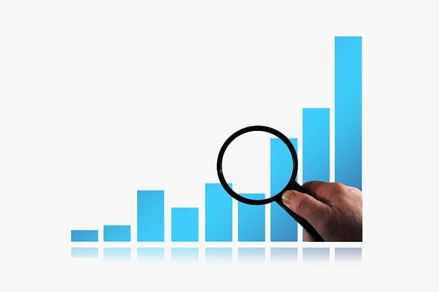 Auditor Reports