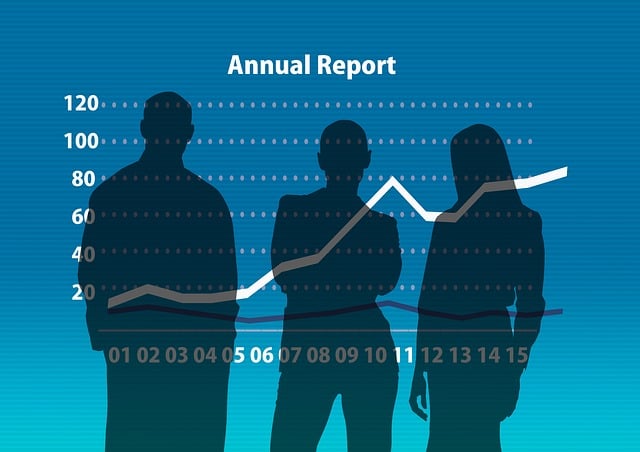 Auditor Reports