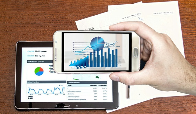 Auditor Reports