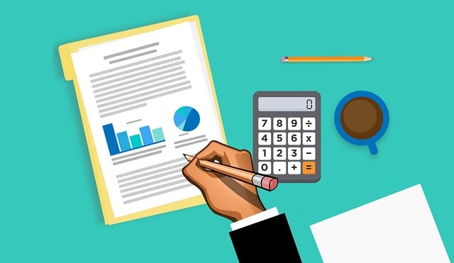 Auditor Reports