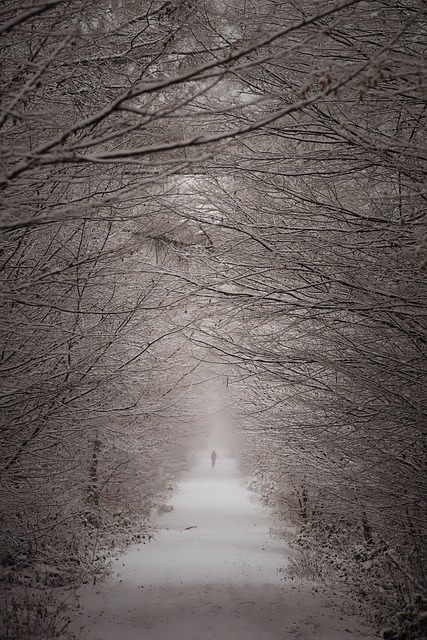 Clinical Trial Reports