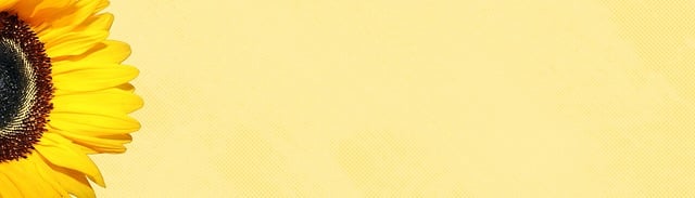 Corporate Bylaws and Articles of Incorporation