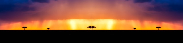 Corporate Bylaws and Articles of Incorporation