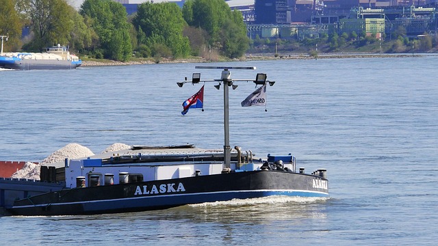 Due Diligence Reports