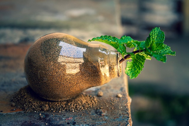 Environmental and Social Responsibility Reports