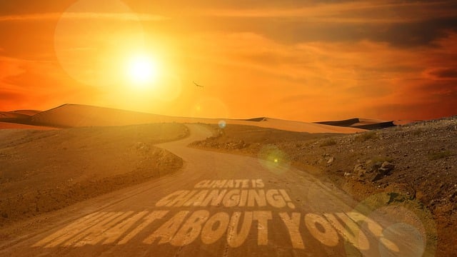 Environmental and Social Responsibility Reports