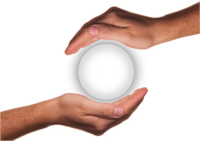 Environmental and Social Responsibility Reports