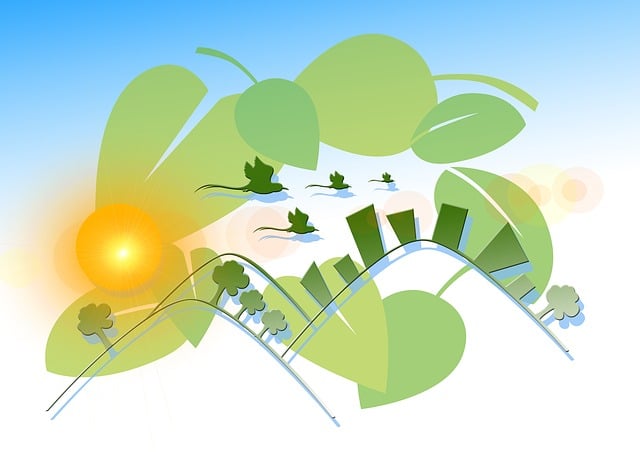 Environmental Impact Assessments