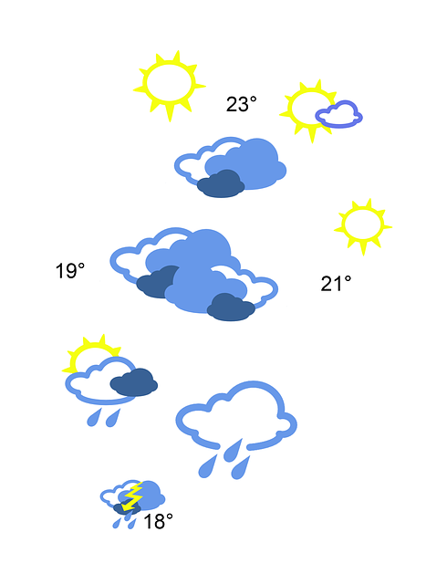 Financial Forecasts and Projections