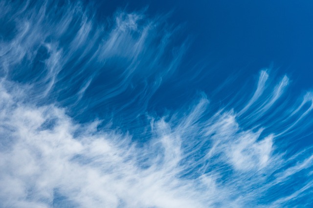 Financial Forecasts and Projections