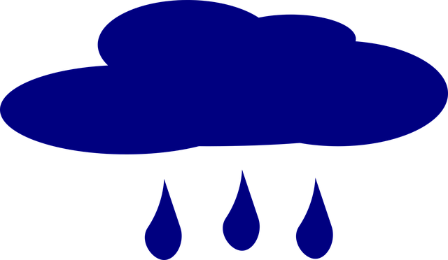 Financial Forecasts and Projections