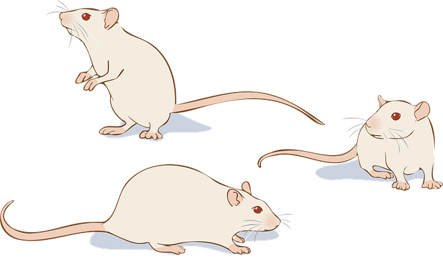 Grant Proposals for Scientific Research