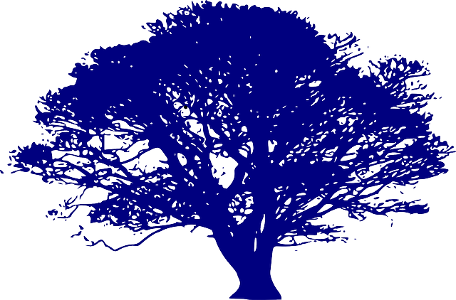 Human Resources Documents