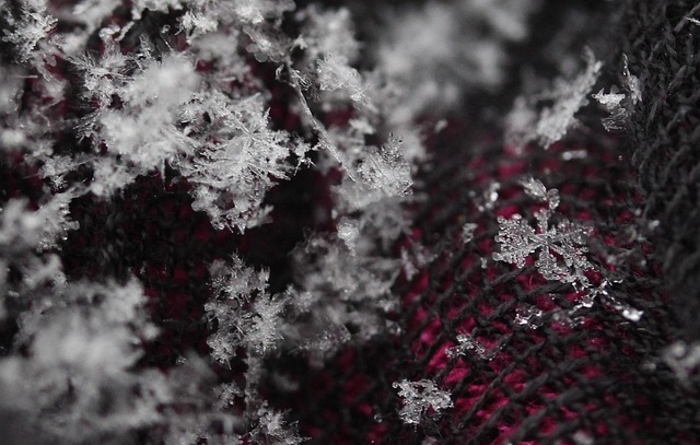 Informed Consent Forms