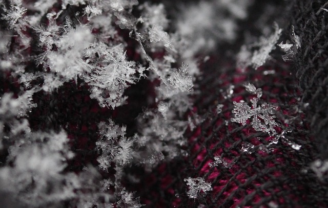 Informed Consent Forms