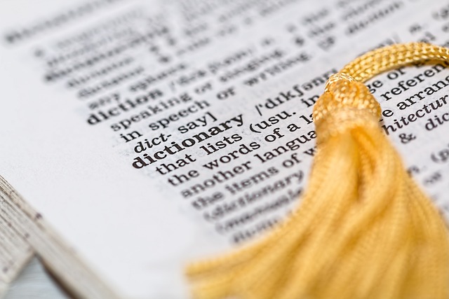 Intellectual Property Documents