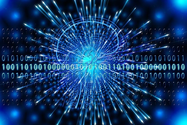 Internal Financial Policies and Procedures