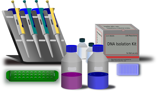 Laboratory Notebooks