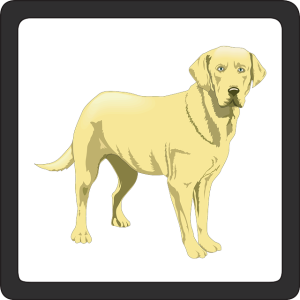 licenses-and-permits-640x480-31781430.png